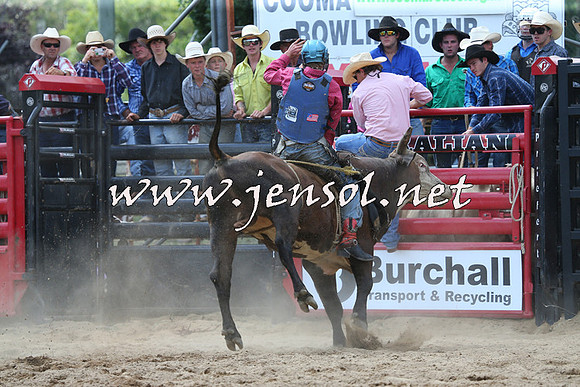 CoomaRodeo2015_1335