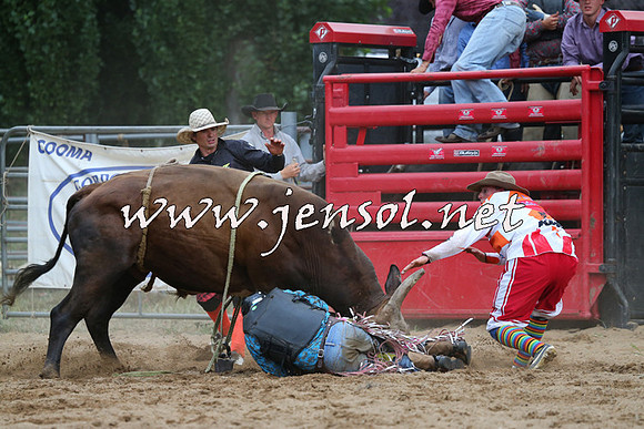 CoomaRodeo2015_2858