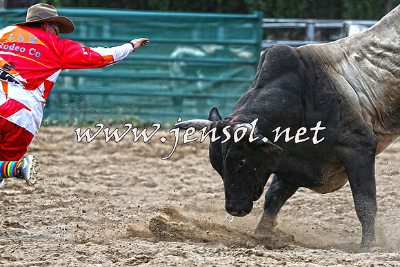 CoomaRodeo2015_1305