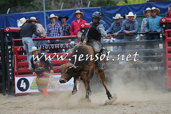 CoomaRodeo2015_2735