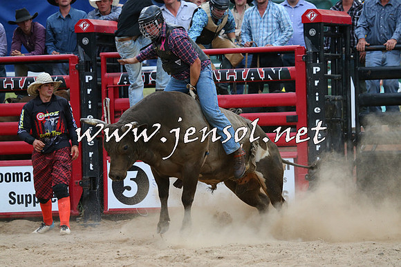 CoomaRodeo2015_2932
