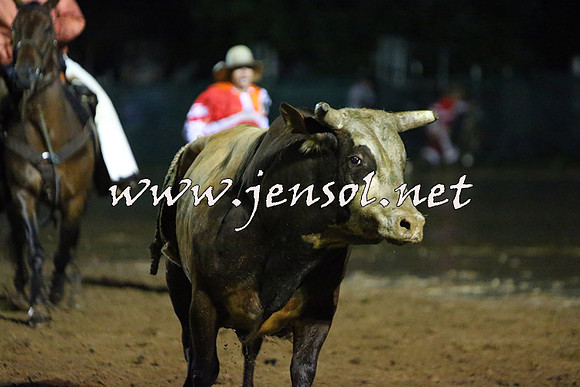 CoomaRodeo2015_3290