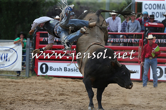 CoomaRodeo2015_1284