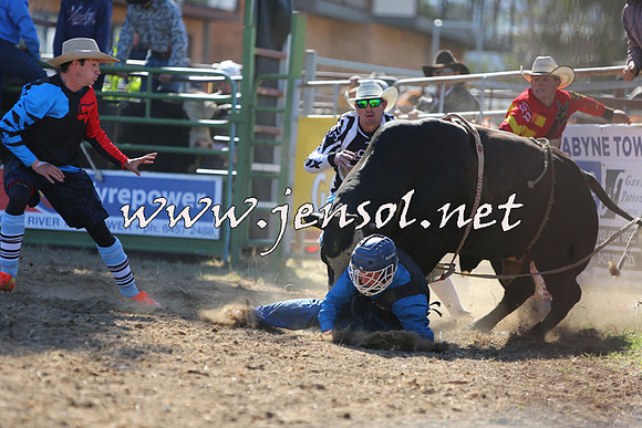 JindabyneRodeo2015_2294