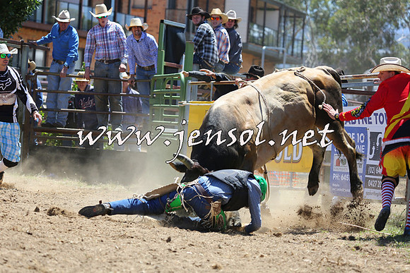 JindabyneRodeo2015_1099