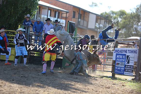 JindabyneRodeo2015_2414