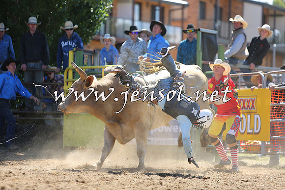JindabyneRodeo2015_1779