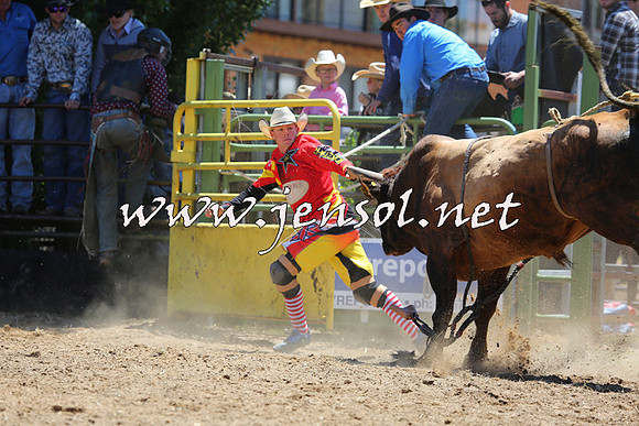 JindabyneRodeo2015_1131