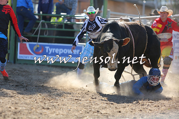 JindabyneRodeo2015_2295