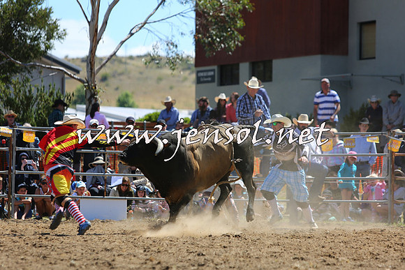 JindabyneRodeo2015_1640