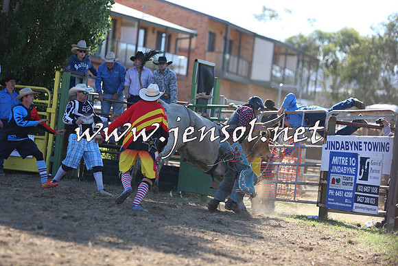 JindabyneRodeo2015_2413