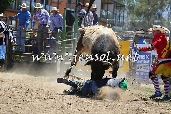 JindabyneRodeo2015_1109