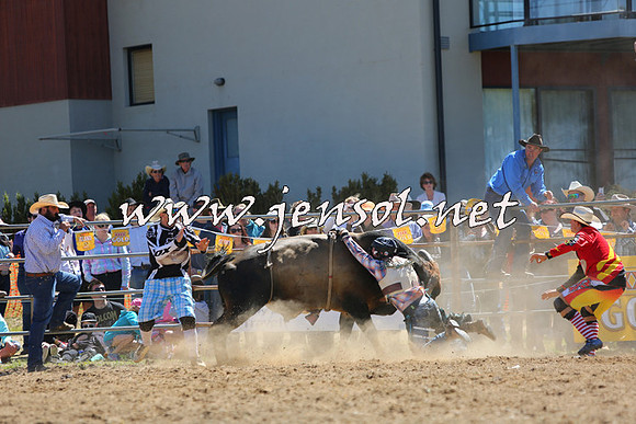 JindabyneRodeo2015_1627