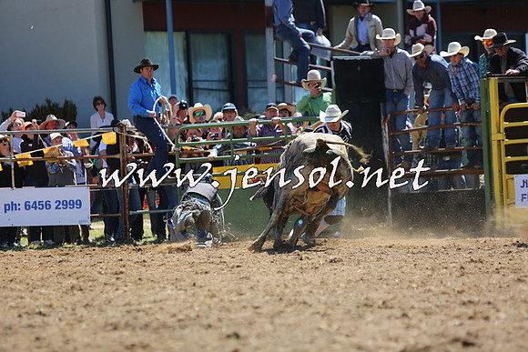 JindabyneRodeo2015_1698