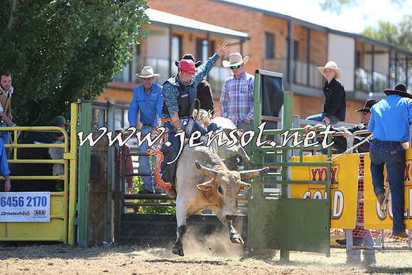 JindabyneRodeo2015_1591