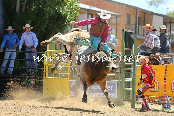 JindabyneRodeo2015_1001