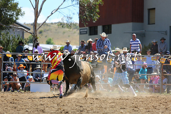 JindabyneRodeo2015_1639