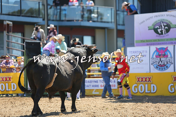 JindabyneRodeo2015_1553