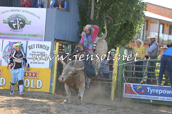 JindabyneRodeo2015_2455