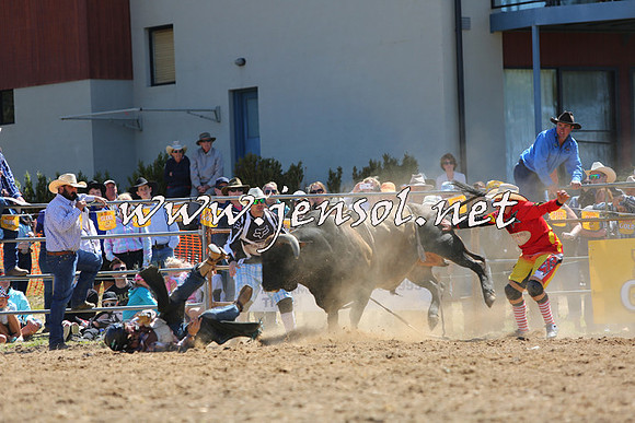 JindabyneRodeo2015_1630