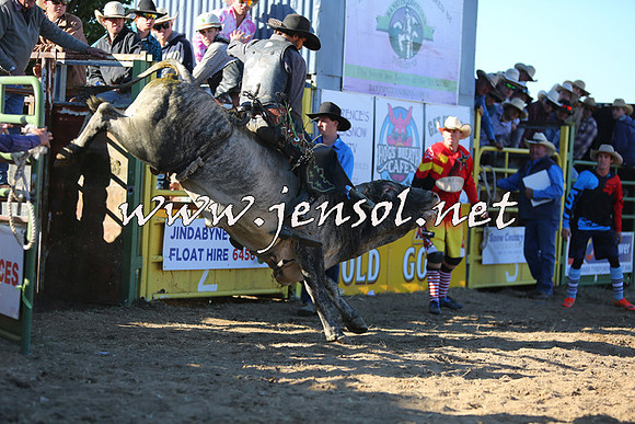 JindabyneRodeo2015_2902