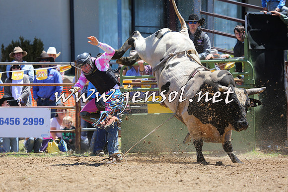 JindabyneRodeo2015_1050