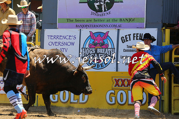 JindabyneRodeo2015_0983