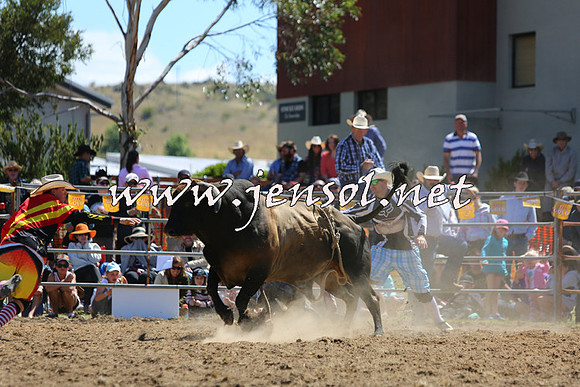 JindabyneRodeo2015_1638