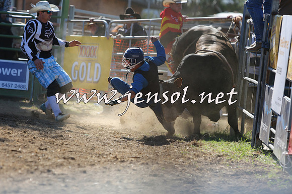JindabyneRodeo2015_2290