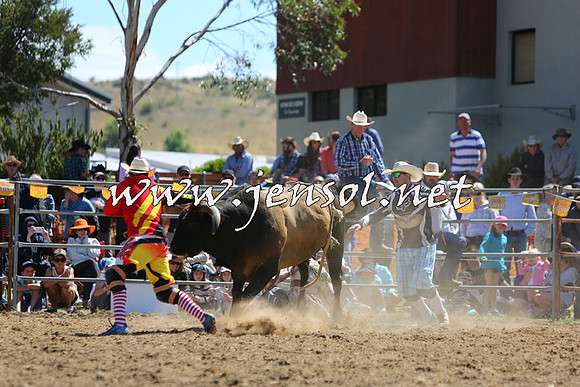 JindabyneRodeo2015_1641