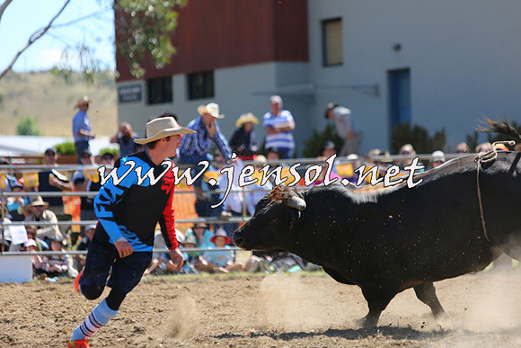 JindabyneRodeo2015_1756