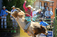 JindabyneRodeo2015_0990