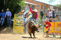JindabyneRodeo2015_1003