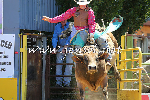 JindabyneRodeo2015_0991