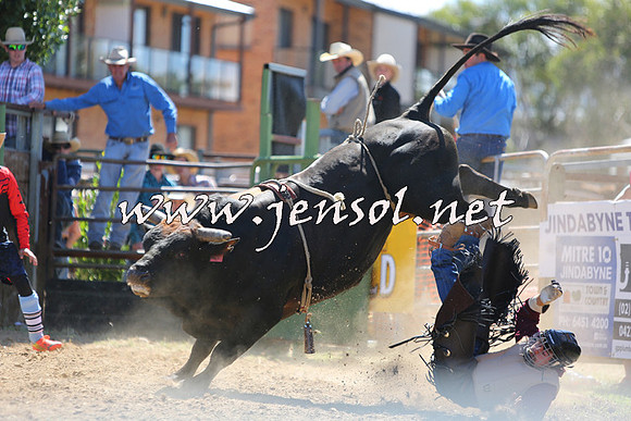 JindabyneRodeo2015_1754
