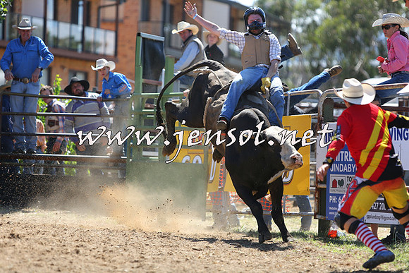 JindabyneRodeo2015_1669