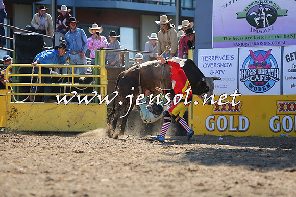 JindabyneRodeo2015_2089