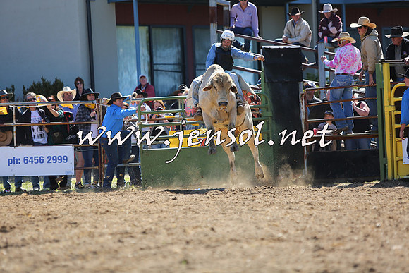 JindabyneRodeo2015_1981