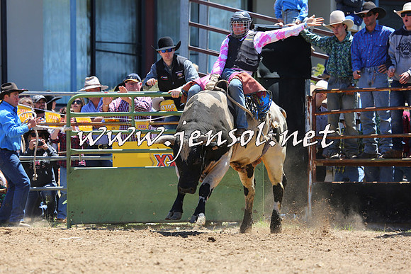 JindabyneRodeo2015_1044