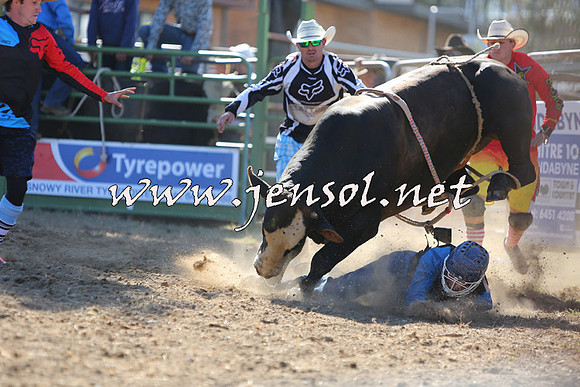 JindabyneRodeo2015_2297