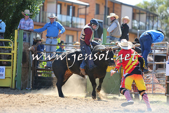 JindabyneRodeo2015_1748