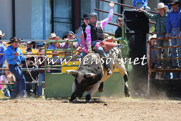 JindabyneRodeo2015_1046