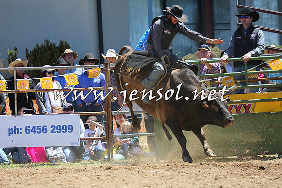 JindabyneRodeo2015_0974