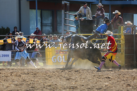 JindabyneRodeo2015_2246
