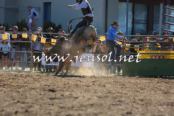 JindabyneRodeo2015_2361