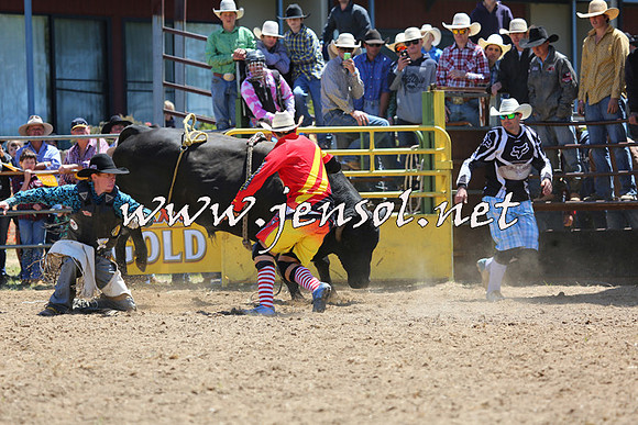 JindabyneRodeo2015_1067