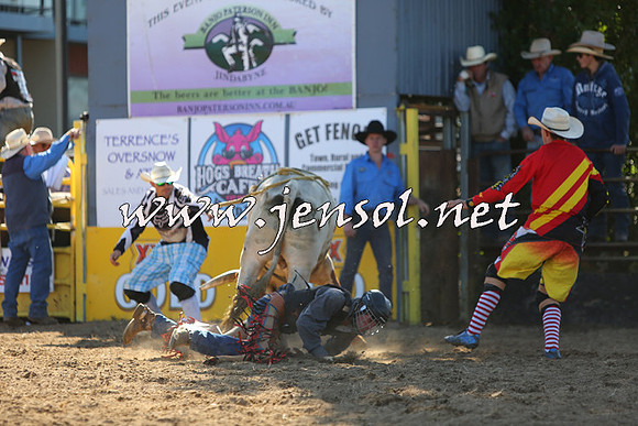 JindabyneRodeo2015_2397
