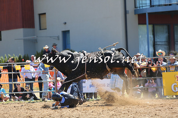 JindabyneRodeo2015_1548