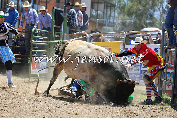 JindabyneRodeo2015_1110