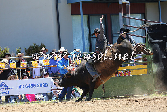 JindabyneRodeo2015_0968